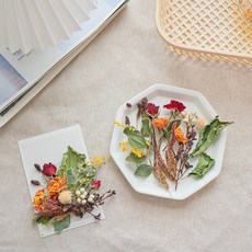 GAPANG 乾燥花 DRYB234, 02號