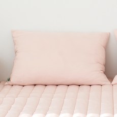 그래이불 듀올가드 워싱 항균 알러지케어 베개커버 2p, 페일핑크