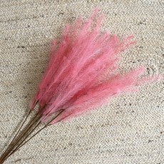 도시정원 조화 팜파스 뮬리 가지 5p, 진핑크