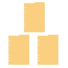 PLEPIC A5 6孔 雙面 索引墊 芒果Free 3入, 30張