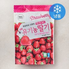 호재준 유기가공식품 인증 딸기 (냉동), 500g, 1개