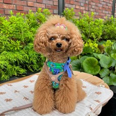 Puppy Dream 狗狗三色堇花朵領結雙層荷葉邊連身裙 10050, 綠色, 1個