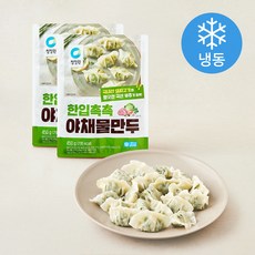 청정원 한입 촉촉 야채 물만두 (냉동), 450g, 2개