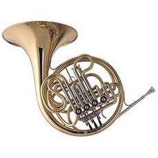 HDC영창 더블혼 더블호른, 골드, YHN110, 1개