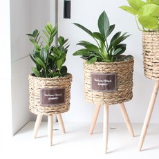 MORIANN 木質腳架圓形編織盆栽 2入, 棕色