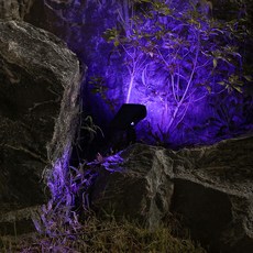 21C Trend LED 太陽能噴射機造型聚光燈 2入, RGB 彩色燈