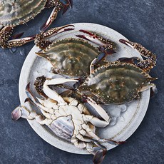 피시원 산지직송 알뜰몽당 알배기 봄 암꽃게 (냉장), 1kg, 1개