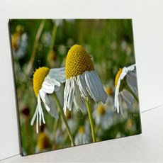 UDP 瓷磚畫框 A型 3926268, 單一顏色