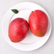 더로얄 대만산 애플망고, 500g(2입), 1팩