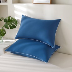 소하임 사계절 베이직 통세탁 베개, 인디블루, 2개