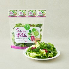 그린래빗 자연을 닮은 샐러드 실속B, 100g, 5개