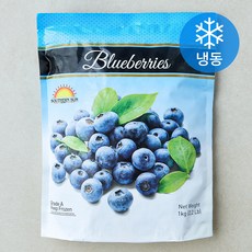 칠레산 맛있는 블루베리 (냉동), 1개, 1kg