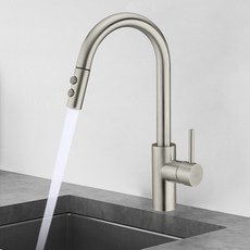 American Standard 衛生不鏽鋼霧面廚房水龍頭 FD1820, 1個