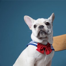 ZAZAZOO 萌少女戰士水手領巾 + 蝴蝶結 月亮款, 藍色 + 紅色, 1組