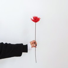 가팡 국화 드라이플라워, 레드 (04번/DRYB12304)