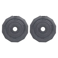 아리프 다이나믹 경량 30mm용 바벨 원판 3kg, 2개, 블랙
