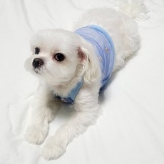 Doggy Codi 透視雛菊狗狗短版背心, 藍色