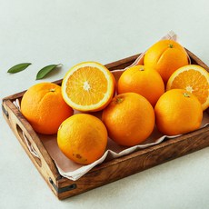 더네이처 호주산 못난이 오렌지, 1개, 1.5kg