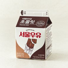 서울우유 초콜릿 우유, 300ml, 1개