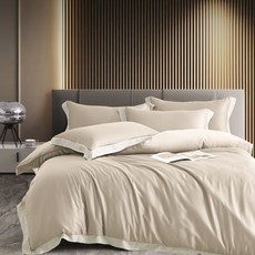 夢之語 100支天絲萊賽爾兩用被床包4件組