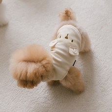 PETSLAND 寵物 I'm Bear T恤, 1個, 象牙白