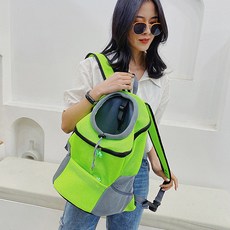 라타 반려동물 외출용 이동 백팩, 그린, 1개