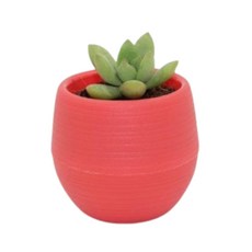 제이 플라스틱 다육이 화분, 와인색