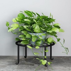 Avenue Goods多肉植物客廳室內裝飾花盆架 a2, 單層大黑