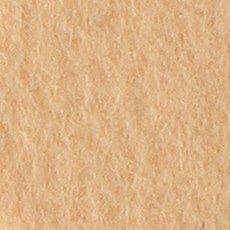 ButtonKing 手作用料 彩色毛氈不織布 560 x 450 mm, 4個, 809