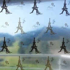 玻璃氣泡隔熱膜, 艾菲爾鐵塔