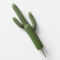 BLOOMING&ME 風格仙人掌人造灌木架, 綠色 黑色, 1個