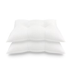 Begozani 3D 弧形拉鍊枕棉 2p, 單色