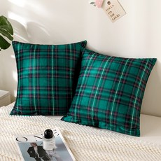 소하임 라플란 극세사 소파쿠션 솜 2p + 커버 2p 세트, 노르딕그린