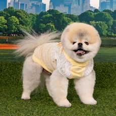 반려동물 레이스 리본 민소매 티셔츠 TS7841, 옐로우, 1개