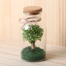 ROMANTIC NOVEMBER 滿天星乾燥花透明瓶 500ml, 淺綠色