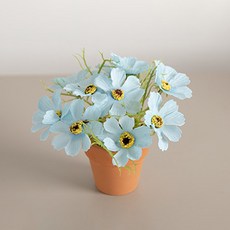 flowertree 基本款人造波斯菊迷你陶盆組 12cm, 藍色