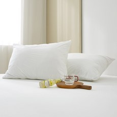 위드휴 항균 텐셀 진드기차단 방수 베개커버