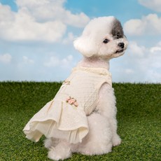 반려동물 마제 원피스 OP7849, 아이보리, 1개
