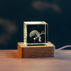 인테리어 큐브 무드등, 프린스가드