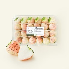 올푸릇 무농약 인증 화이트 딸기, 1개, 480g(중과)