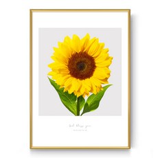 商城市集 向日葵G 海報 + 畫框, 黃金