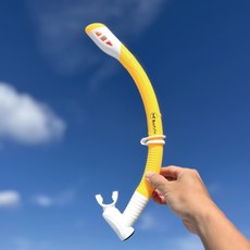 ButterFly Fish 蝴蝶魚 乾濕兩用呼吸管 SN2501 黃色 浮潛/自由潛水 成人兒童可用, 均碼