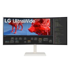 LG전자 WQHD+ 울트라와이드 모니터 방문설치, 95cm, 38WR85QC
