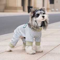 PASTEL PET 寵物斜領條紋連身衣