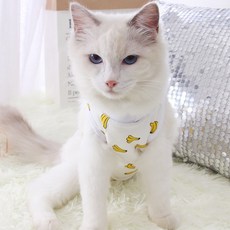 寵物服裝, 香蕉