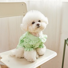 Bennys 寵物印花荷葉邊連衣裙, 綠色