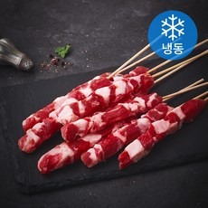 생생양생 양왕꼬치 (냉동), 1개, 400g