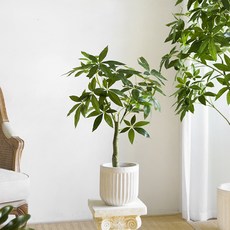 쟈뎅드에덴 파키라 인조나무 90cm, 1개