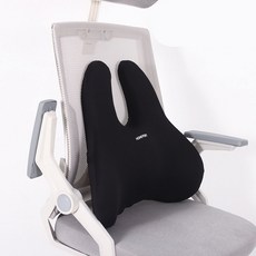 今日 6D 新一代護腰辦公室靠背墊, 黑色