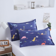 홍시유통 싱글 더블 가정 기숙사 벼개커버 솜포함, 타입2, 1개